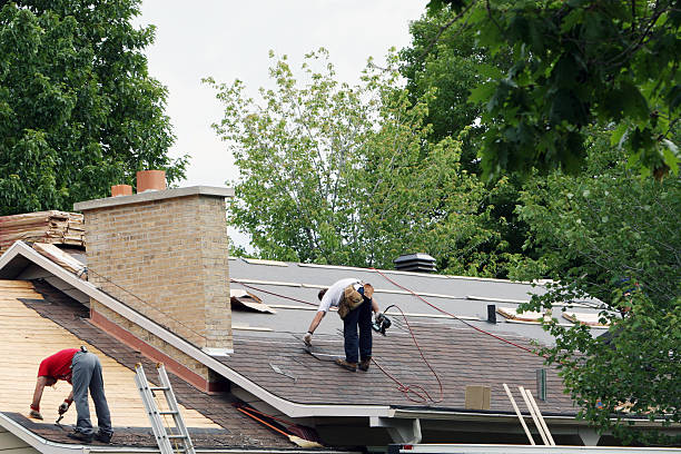 Best Roof Gutter Cleaning  in La Habra Heights, CA
